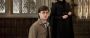 Harry Potter and the Cursed Child: Gerüchte Verfilmung des Theaterstücks | Serienjunkies.de